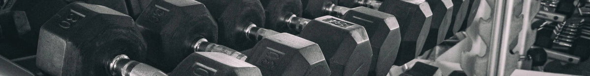 Dumbbell Racks | Quality Gym Equipment – Equipped Gym
