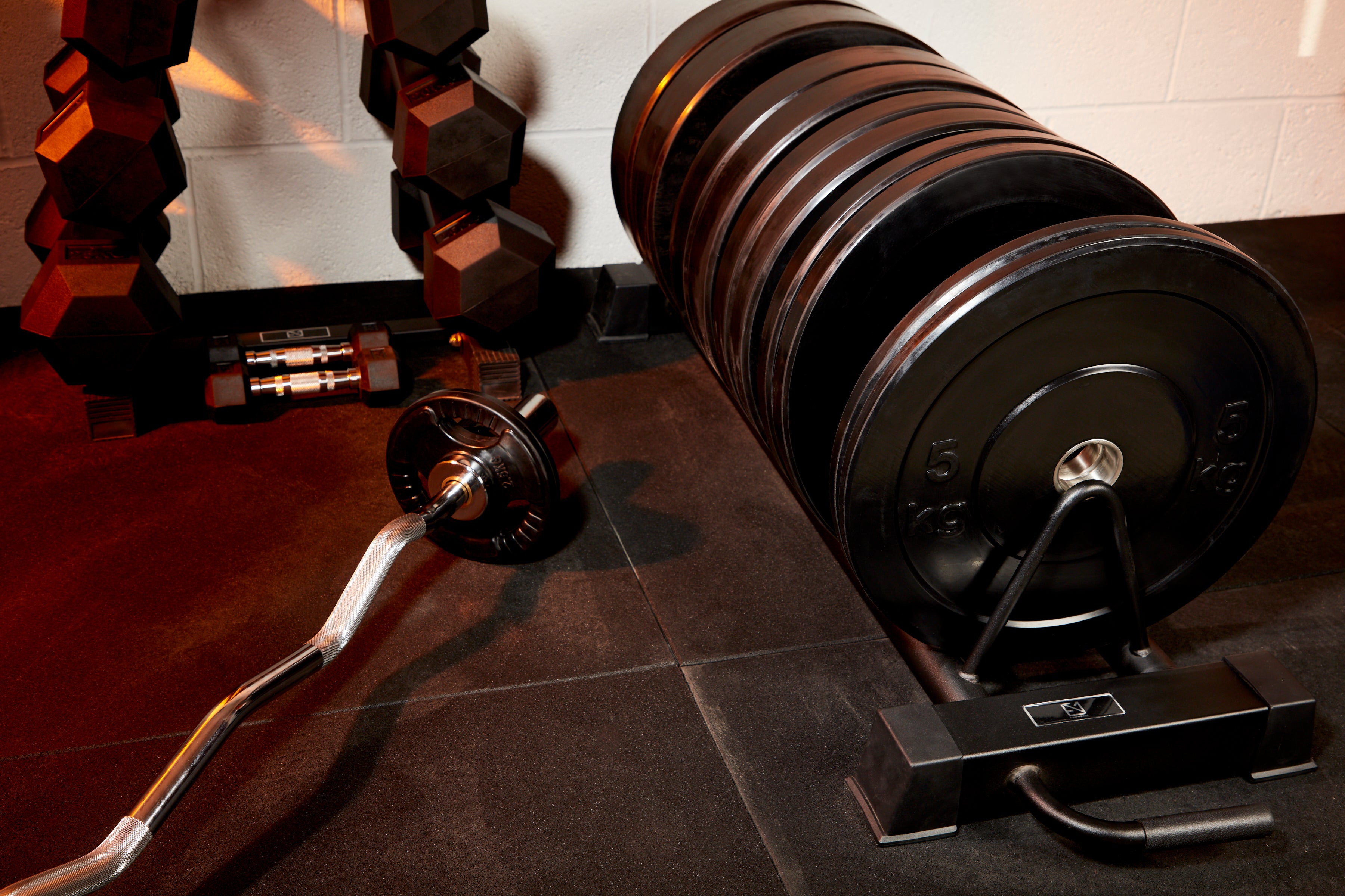 Bumper Plates
